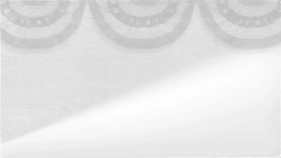 Bunting Background.webp